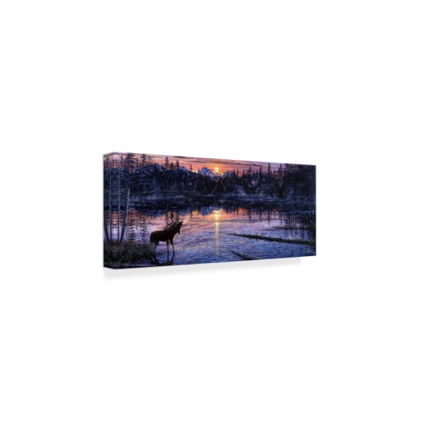 Jeff Tift 'Moose Lake' Canvas Art,8x19